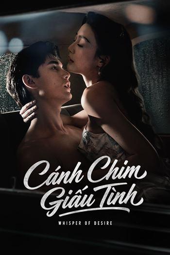 Cánh Chim Giấu Tình