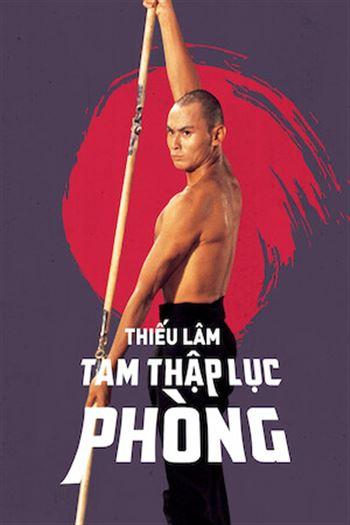 Thiếu Lâm Tam Thập Lục Phòng